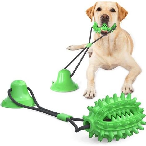 Jouet pour chien - Brosse à dents cactus - Caoutchouc TPR - Résistant - Écologique (1/4)