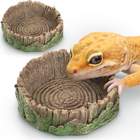 Gamelle Reptile pour Nourriture et Eau terrarium Bowl (1/5)