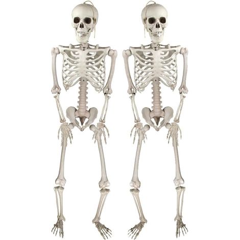 Decorazione di Halloween a forma di teschio realistico, decorazione mobile a forma di teschio per Halloween, adatta per uso interno ed esterno, accessori per feste di Halloween (1/5)