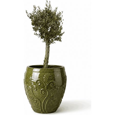 Lote olivo + maceta GAIA 72x75cm verde tropical