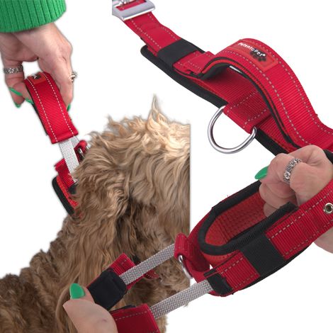 Collare per addestramento cani con maniglia e guinzaglio corto