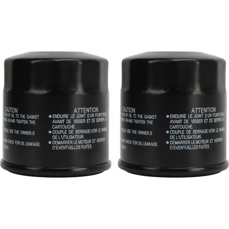 2 Stück Ölfilter 16097 0002 Leistungsstarker Motorölfilter, Ersatz für Vulcan 500 LTD 1996 bis 2009 (1/5)
