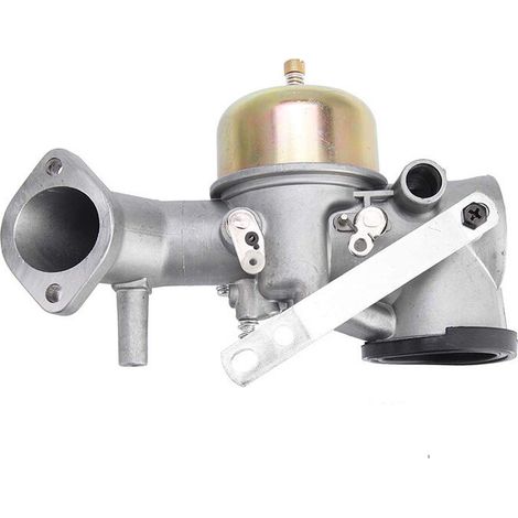 Carburateur Briggs & Stratton491026 281707 491031 (1/5)