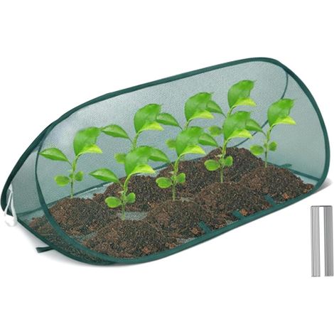 Filiyano-Filet de protection de jardin pliable avec 8 piquets, idéal pour planter légumes, fruits, semis, fleurs, etc. Vert. Dimensions : 99 x 40 x 40 (1/5)