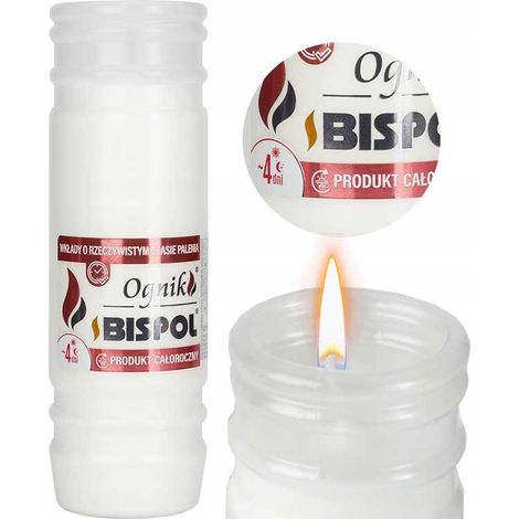 BISPOL - Inserto relleno Ognik WP4 - 1 unidad.