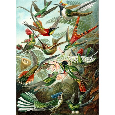papier peint panoramique oiseaux vert jungle tropicale - ESTAhome (1/5)