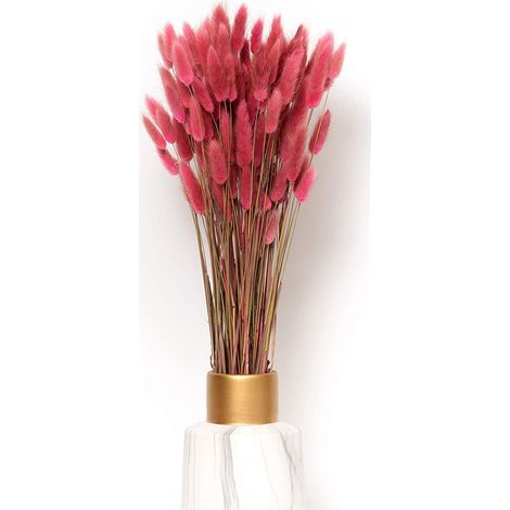 Décoration de fleurs séchées éternellement durable herbe de pampa et fleurs séchées herbe de pampa séchée décoration d'herbe de pampa bouquet de fleurs séchées décoration de vase (bois de rose) (1/5)