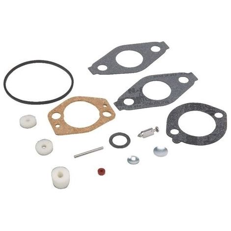 Kit carburateur BRIGGS ET STRATTON 695157 - 695156