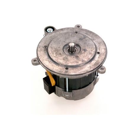 BOSCH Motor HG 170W everp, 63006865 (1/2)