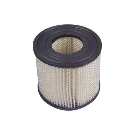 Cartuccia filtro aria 111 x 48 x 98 mm motore rasaerba BRIGGS&STRATTON