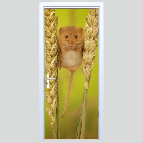 Adhesivo de tela para puerta con diseño de ratón de campo 233PD