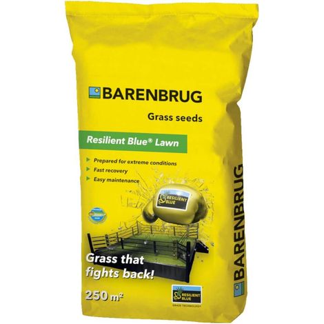 Gazon barenbrug auto tassant resilient blue 5 kg resistant au pietinement
