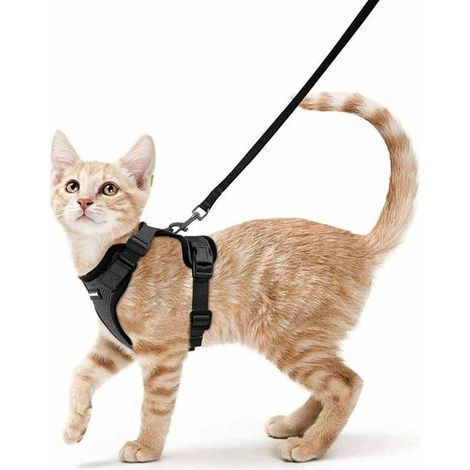 Harnais chat petit chien réglable noir S - Collier réfléchissant, gilet respirant, attache dessus avec laisse - Pour lapin/Persan (1/4)