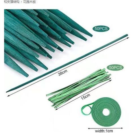 Tuteur en bois vert, tuteur en bambou, piquets naturels pour plantes