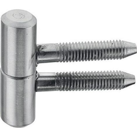Fiche à visser 16x45mm acier finition zinguée blanc - MONIN - 651510