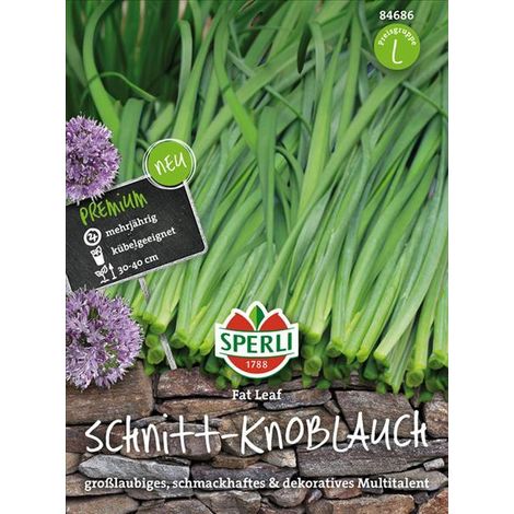 Sperli Schnitt-Knoblauch Fat Leaf - Kräutersamen (1/4)