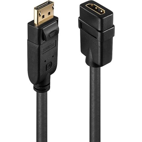 Convertitore passivo da DisplayPort a HDMI Lindy, modello 41005 (1/4)
