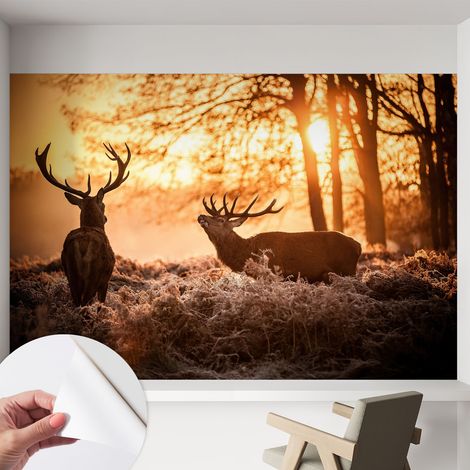 Fotomurale adesivo stickers - per camera da letto - per corridoio - decorazione casa moderna Cervi al mattino 152x104 cm (1/5)