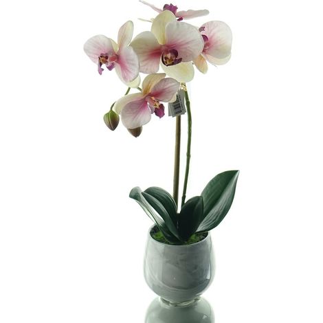 GASPER Schmetterlingsorchidee Creme & Rosa im Keramiktopf 36 cm - Kunstblumen (1/3)