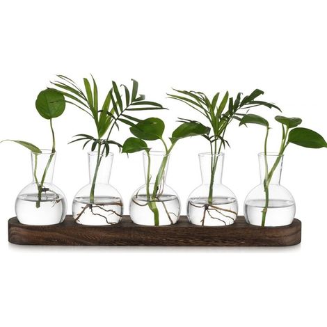 Small Flower Vase, Transparent Vase: Hydroponic Plant Terrarium, Glass Vase with Brown Wooden Tray - 5-Piece Glass Soliflore Terrarium for Centerpiece and Interior Decoration (1/5)