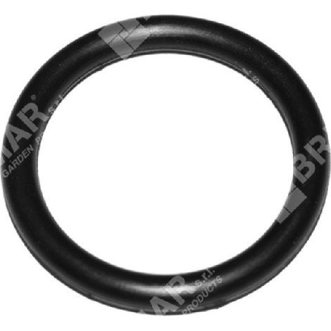 O ring pistone ase1552-5t COMPATIBILE - 049615