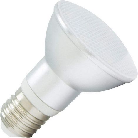 Ampoule LED E27 5W 450 lm PAR20 IP65 6000K Blanc froid (1/5)