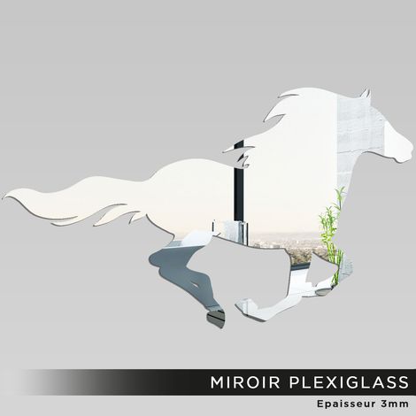 Miroir Plexiglass - Cheval - 24x40 cm (1/2)