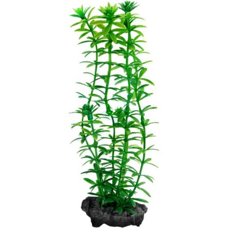 Tetra Pianta Decorativa in Plastica Modello Anacharis (Egeria Densa) Misura S (1/2)