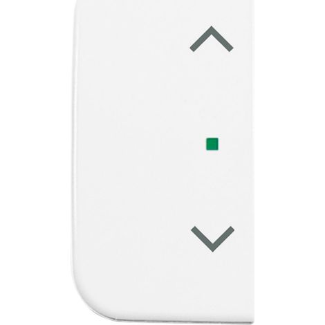 BUSCH-JAEGER Balancier 6232-20-214, double L/R, stores, free@home, blanc alpin
