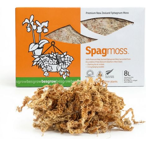 Gepresstes Torfmoos (Sphagnummoos), 8 l Briketts, 100 g für Terrarien, Sphagnummoos Besgrow