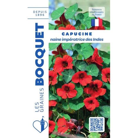 Capucine naine Impératrice des Indes - 4g