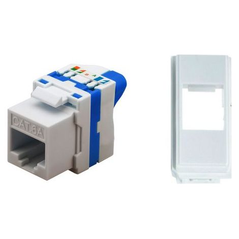 TechLy presa di rete RJ45 UTP CAT.6a tooless + Now bianca