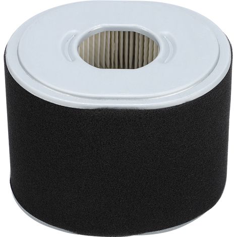 Eosnow Sostituzione accessorio filtro aria tosaerba adatto per Honda GX390 GX340 11 13 HP