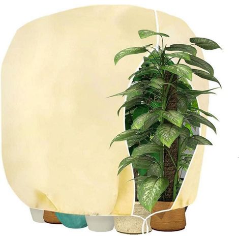 Pflanzenschutzhaube Winterschutz 190x220cm beige atmungsaktiv reißfest (1/5)