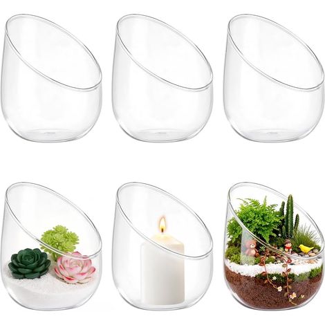 6 Terrarium en Verre Transparent pour Plantes Aériennes Vases Ronds en Verre Transparent de 12.2cm Vase/Terrarium pour Plante Succulente et Cactus Idéal pour la Décoration Intérieure (1/5)