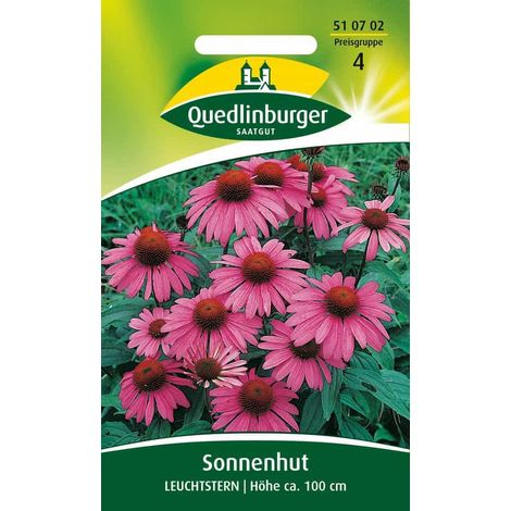 Sonnenhut mehrjährig, gelb, Leuchtstern, Rudbeckia, Stauden (1/2)