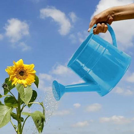 Arrosoir pour plantes d'intérieur, bouilloire en fer blanc, seau de douche galvanisé, petit pot de fleurs (bleu) (1/5)