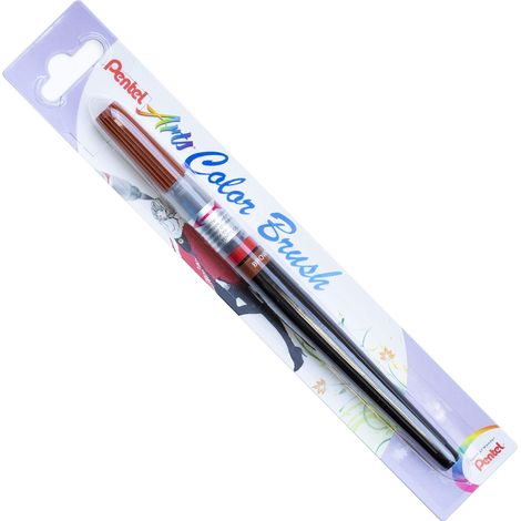 Color Brush Pinceau rechargeable encre à l'eau aquarellable Marron (1/5)