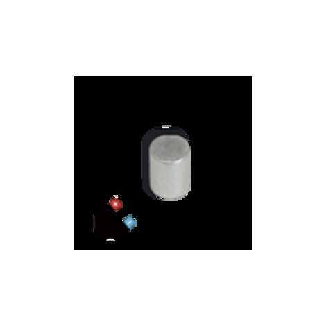 Aimant bouton Martinez Albainox 9 x 10 mm puissant
