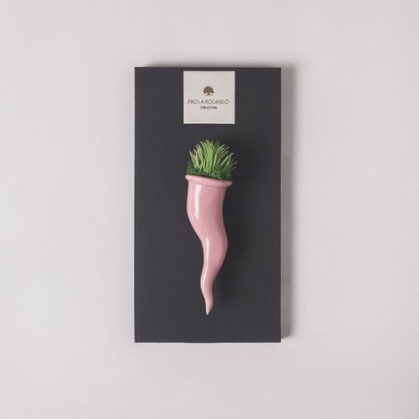 Pianta grassa succulenta in vaso ceramico artigianale Cornetto - Rosa