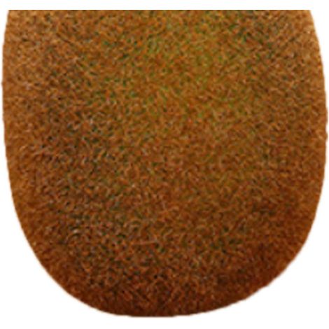 Modèle de fruit artificiel en mousse, faux fruit, matériel pédagogique pour la maternelle, accessoires décoratifs, kiwi (1/5)