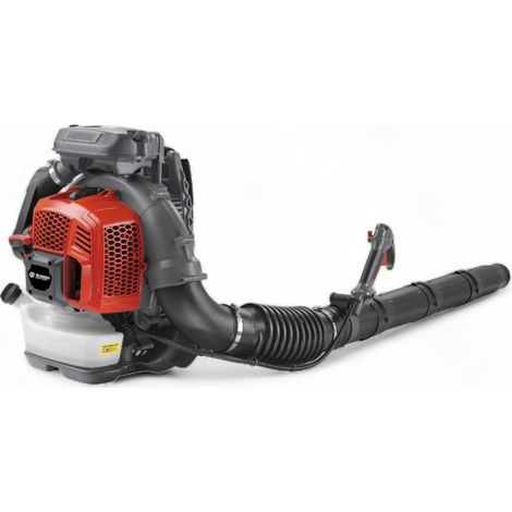 Souffleur aspirateur dorsal semi-professionnel 75,6cm3 330km/h - BLUEBIRD BBL 801 (1/5)