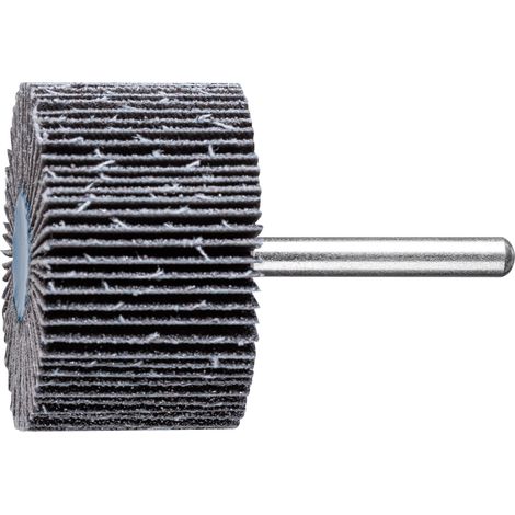 PFERD TOOLS SIC Fächerschleifer F Ø 50x30mm Schaft-Ø 6 mm SIC60 für harte NE Metalle 10 Stk
