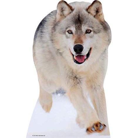Figurine en carton  Le Loup Haut 92 CM (1/4)