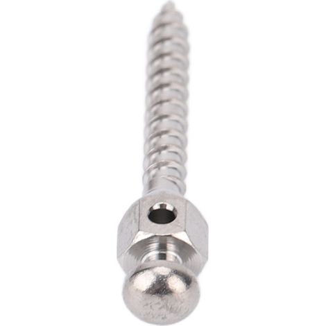 Vis d'ancrage dentaire professionnelle autoperceuse pour micro-implants orthodontiques, 1,6 x 10 mm / 0,1 x 0,4 po