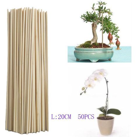 Estacas de bambú para el crecimiento de plantas, soporte para ramas pequeñas de bonsáis y vides, herramienta de jardinería DIY, 3 mm, 20 cm, 50 unidades. (1/4)