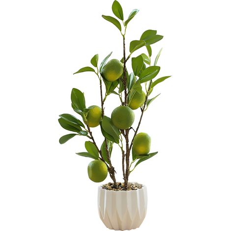 Planta artificial Oasis 225432 Bonsái naranja grande (maceta de plástico) Verde 1 pieza (1/5)
