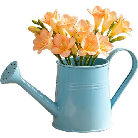 Mini petit pot d'arrosage pour enfants et adultes avec tête d'arrosage en métal pour arrosage/arrosage de jardinage (1/5)