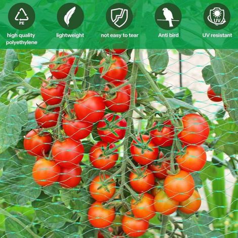 Filet anti-oiseaux 4x10 m, mailles fines, protection pour bassin, jardin, arbres fruitiers. (1/5)