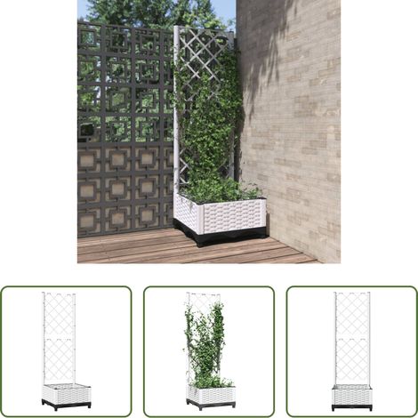 Plantes grimpantes -  Jardinière avec treillis Blanc 40x40x121,5 cm PP (1/5)